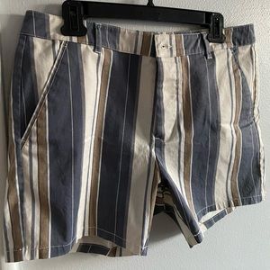 Skinny Shorts in Washed Stripe